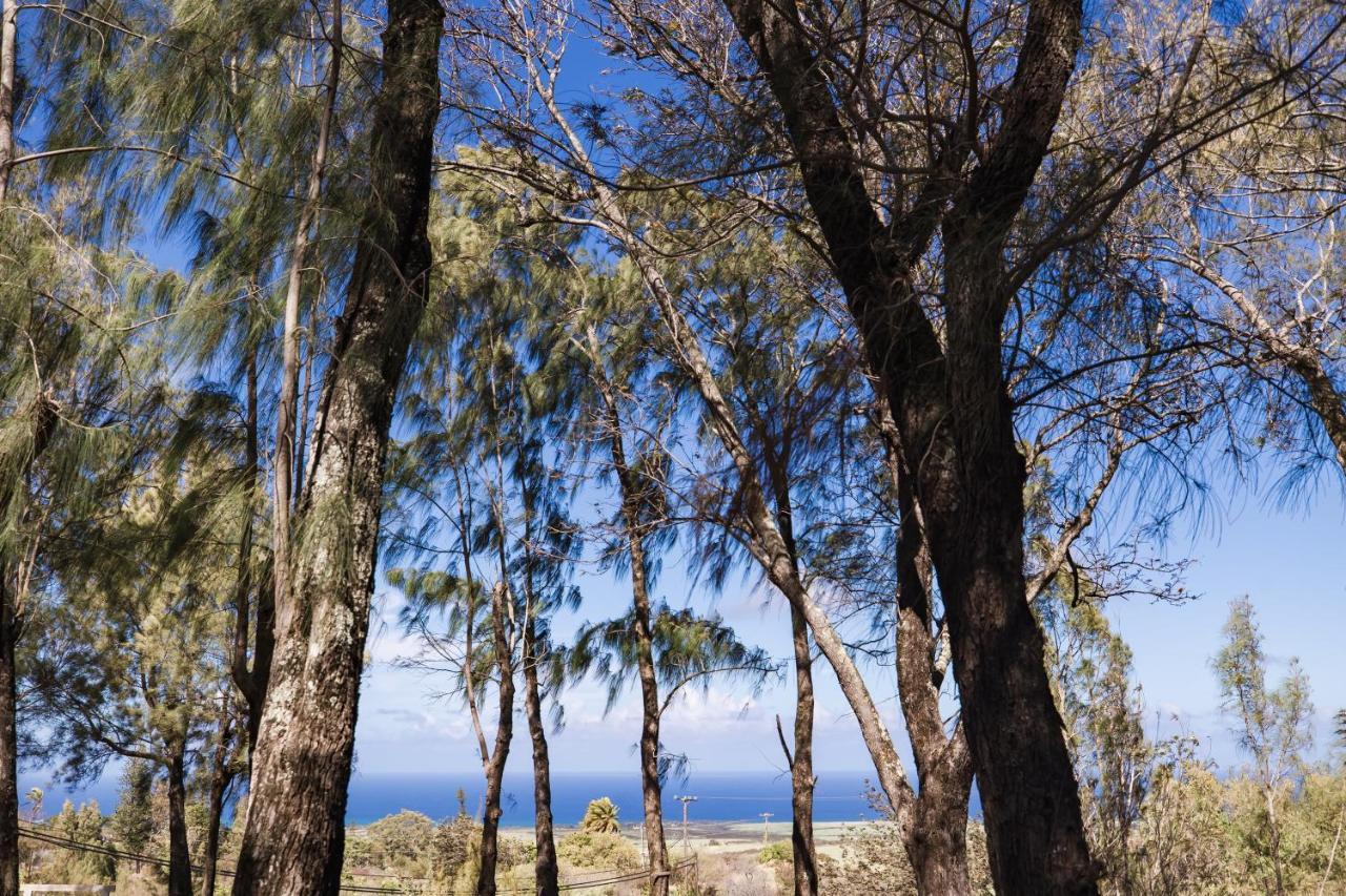 Lumeria Maui, Educational Retreat Center Makawao Екстериор снимка